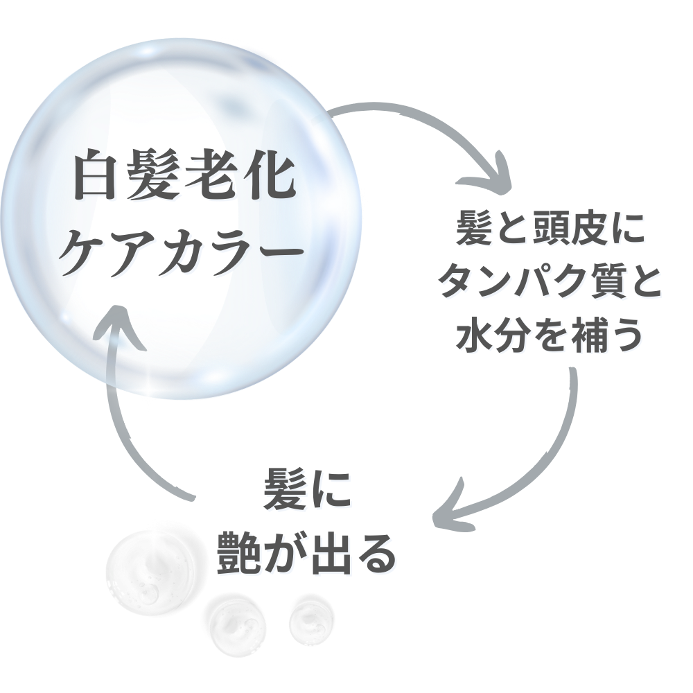 白髪老化ケアカラーで髪と頭皮にタンパク質と水分を補い、艶が出るサイクル図